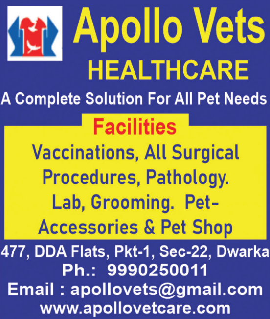 Advertisement